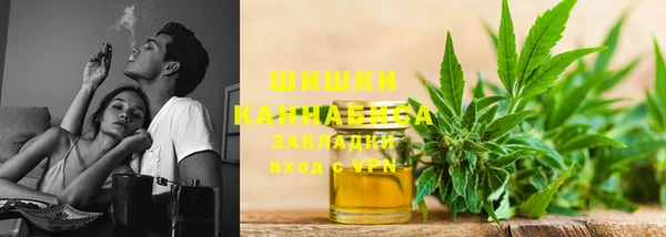 дмт Кинешма