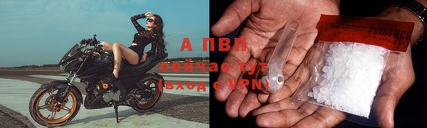молекула духа Киреевск