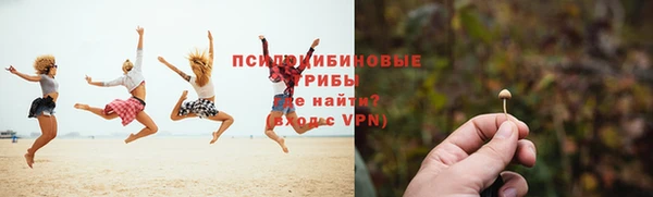 молекула духа Киреевск