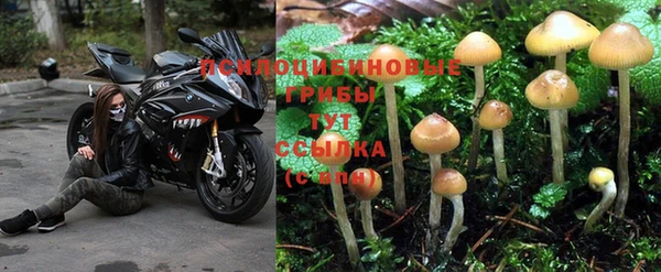дмт Кинешма