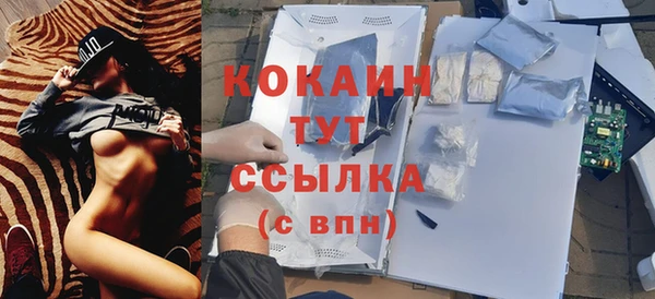 молекула духа Киреевск