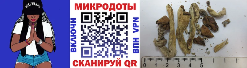 Галлюциногенные грибы прущие грибы  Купить закладки  Вичуга 