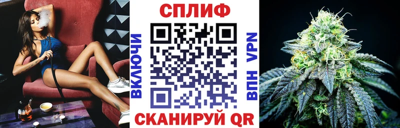 Конопля Amnesia  Купить закладки  Вичуга 